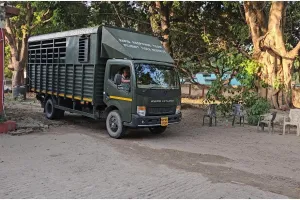 पीलीभीत: लखनऊ प्राणि उद्यान भेजा गया जख्मी बाघ, विशेषज्ञ करेंगे इलाज...महोफ रेंज से सटे इलाके से किया गया था रेस्क्यू