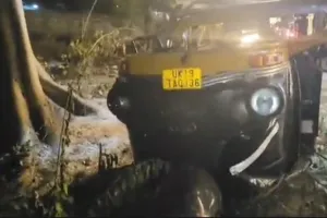 रामनगर: जलता पेड़ टेम्पो पर गिरा, चार घायल