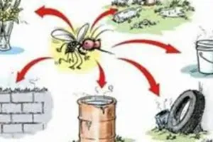 Bareilly News: संचारी रोग नियंत्रण अभियान में पिछड़ा जिला, प्रदेश में 60वां स्थान