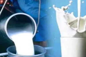 UP में डेयरी लगाने को तमाम सुविधाएं देगी राज्य सरकार, 5 करोड़ तक मिल सकता है अनुदान