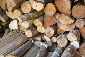 काशीपुर: लाखों की खैर की लकड़ी पकड़ी, तस्कर फरार