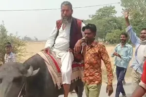 भैंस पर बैठकर नामांकन करने निकले नेताजी, लेकिन इस बड़ी गलती की वजह से टूट गया सपना