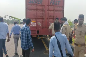 सुलतानपुर: फिर पकड़ा गया पूर्वांचल एक्स्प्रेस वे पर पशुओं से भरा कंटेनर, जांच में जुटी पुलिस 