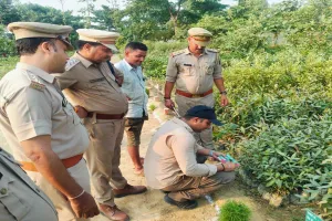 बाराबंकी में पौधारोपण अभियान, बारह लाख पौधों की नर्सरी तैयार, डीएफओ ने किया निरीक्षण