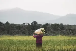अयोध्या: भूमि प्रकृति परिवर्तन मामले में किसानों की मांग, माझा जमथरा का सर्वे पूर्ण कराया जाए