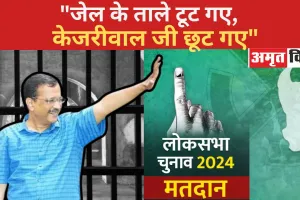 'जेल के ताले टूट गए, केजरीवाल जी छूट गए', जमानत मिलने पर AAP कार्यालय में जश्न का माहौल 