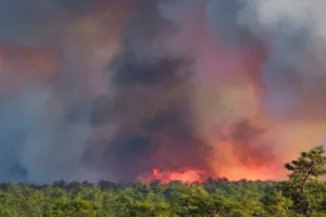कनाडा के जंगलों में लगी भीषण आग, 6,600 से अधिक निवासियों को सुरक्षित स्थान पर पहुंचाया