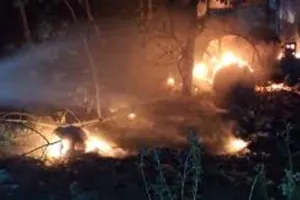 हल्द्वानी: जंगल में गिरा जलता ट्रक, चालक ने कूद कर बचाई जान