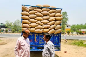 मुरादाबाद : गेहूं खरीद प्रतिशत में मुरादाबाद प्रदेश में टॉप पर, हमीरपुर दूसरे स्थान पर