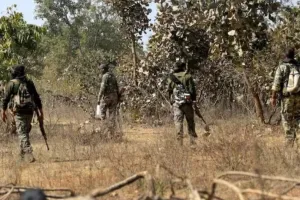 छत्तीसगढ़ में 14 नक्सली गिरफ्तार, इनमें से 11 के सिर पर था 41 लाख का इनाम