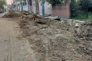 पीलीभीत: अयोध्यापुरम के वाशिंदे बोले, न ही सीमेंट-बालू का अनुपात और न लेबल ठीक....सरिया भी मानकविहीन