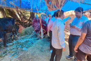 शांतिपुरी: झोपड़ी में आग लगने से दो मवेशियों की मौत, दो झुलसे