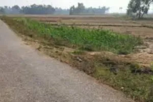 बाराबंकी: किसके नाम नोटिस भेजूं, भू-माफियाआों का पता नहीं