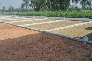 भूमाफियाओं के हौसले बुलंद, तेजी से फल-फूल रहा है अवैध प्लाटिंग का काला कारोबार, अधिकारी नहीं कर रहे कार्रवाई