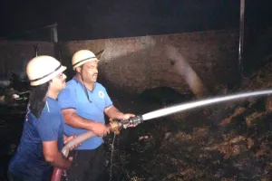 काशीपुर: गौशाला में आग लगने से सात मवेशियों की मौत