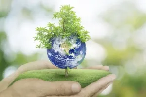 पर्यावरणीय जोखिम