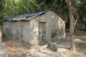 बहराइच: तन्त्र मंत्र के चक्कर में पिता बना हैवान! 3 वर्षीय बेटे को भूँसे के ढेर में दबाया, मौत