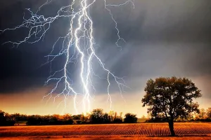 खटीमा: भाई-बहन पर काल बनकर टूटी आकाशीय बिजली, परिवार और गांव में पसरा मातम