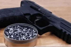 नैनीताल: जब लावारिस बैग में एयर गन देख होमगार्ड समझा पिस्टल...