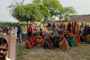 Etawah Suicide: किसान ने खेत में फांसी लगाकर की आत्महत्या...साहूकार के कर्ज में डूबने से परेशान होकर उठाया आत्मघाती कदम