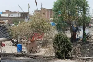 Unnao News: नवीन मंडी के दोनों गेट पर अतिक्रमण...स्थानीय दुकान परेशान, सभापति व सिटी मजिस्ट्रेट से की शिकायत