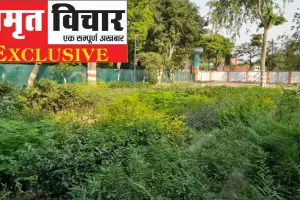 Exclusive: Unnao में वन कुलदेवी और देवताओं के नाम से पौधे लगायेगा वन विभाग...इस बार जिले मे इतने लाख पौधे लगाने का लक्ष्य