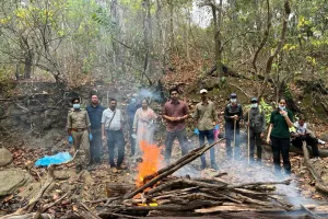 रामनगर: कार्बेट के झिरना में बाघ का शव मिलने से मचा हड़कंप