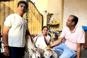 हल्द्वानी पहुंचीं 18 इंच ऊंची गाय-बैल की जोड़ी