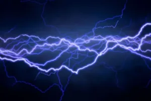 भीमताल: बैलों को लगा करंट, नहीं काटी लाइट, जेई ने टाला तो एसडीओ का नहीं उठा फोन 