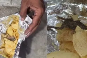Frog in Chips Packet: हो जाएं सावधान...अब चिप्स के पैकेट में मिला मरा हुआ मेंढक 