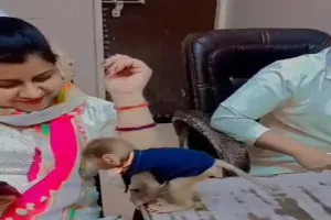 बहराइच: ड्यूटी के दौरान बन्दर के साथ बनाई रील, छह स्टाफ नर्स निलंबित