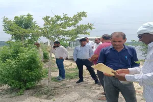 अयोध्या: न्यायालय के आदेश पर फिर हुई समदा झील की पैमाईश