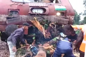 छत्तीसगढ़: पटरी पर गिरे पेड़ से टकराई यात्री ट्रेन, लोको पायलट घायल