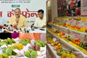 लखनऊ: सीएम योगी 'आम महोत्सव' का करेंगे शुभारंभ, 800 से ज्यादा होंगी वैरायटी... विदेशों में भी भेजे जायेंगे UP के Mangoes