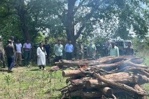 रामनगर: कार्बेट के कालागढ़ रेंज में बाघिन का शव मिलने से मचा हड़कंप