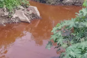 Unnao: उद्योग प्रदूषित पानी से लोन को कर रहे ‘जहरीली’, इन विभाग के जिम्मदारों ने बंद कर रखी आखें, सवाल! 'कब होगी कार्रवाई'