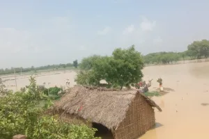तराई क्षेत्र में बाढ़ का कहर : कई गांव में घुसा पहाड़ी नाले की बाढ़ का पानी, डूब कर 5 वर्षीय मासूम की मौत