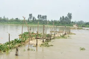 मुरादाबाद : रामगंगा नदी का जलस्तर बढ़ा, तेज बहाव में बह गया लकड़ी का पुल