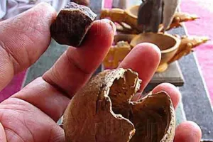 बरेली:जाट रेजिमेंट सेंटर में तैनात फौजी ही कर रहा था अफीम की तस्करी