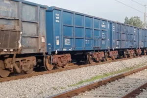 Auraiya News: मालगाड़ी की चपेट में आने से मवेशी की मौत...आधा घंटे रही मालगाड़ी 