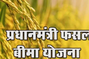 अयोध्या: खरीफ फसल के लिए 4850 किसानों ने कराया बीमा, अब तक 33 लाख 50 हजार प्रीमियम भी जमा  