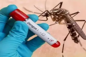 अल्मोड़ा में डेंगू का संदिग्ध मरीज भर्ती, रैपिड कार्ड टेस्ट में आया पॉजिटिव