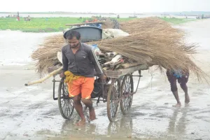 उफान पर नदियां : गंगा-यमुना में दिखने लगीं डरावनी लहरें