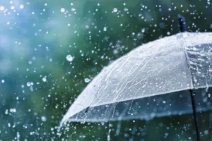 इस बार मानसून में देश में सामान्य से अधिक बारिश होने की संभावना, IMD का नया अपडेट