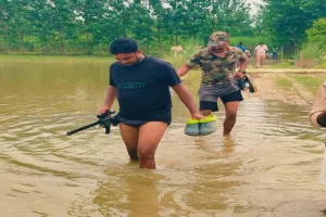 अब मवेशियों को निशाना बना रहे भेड़िया : बंदूक लेकर खोज कर रहे शूटर