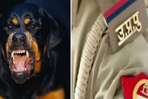 बरेली : पुलिस पर पथराव करने और कुत्ते से कटवाने वाले पांच आरोपी भेजे जेल