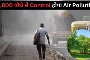 लखनऊ के इस क्षेत्र में लगेंगे 88,800 पौधे, लगभग 2 करोड़ किए खर्च, वायु प्रदूषण पर लगाम लगाने की तैयारी