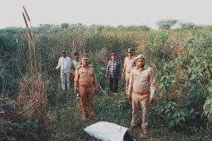 हमीरपुर में मगरमच्छ को लेकर दो दिनों से ग्रामीणों में दहशत: वन विभाग की टीम ने तालाब किनारे डेरा डाला