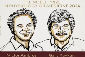 Nobel Prize 2024 : माइक्रो आरएनए की खोज के लिए दो अमेरिकी वैज्ञानिकों को किया जाएगा नोबेल पुरस्कार से सम्मानित 