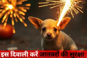 इस दिवाली... जानवरों का भी रखें ख्याल, पटाखों का शोर पशु-पक्षियों के लिए खतरनाक